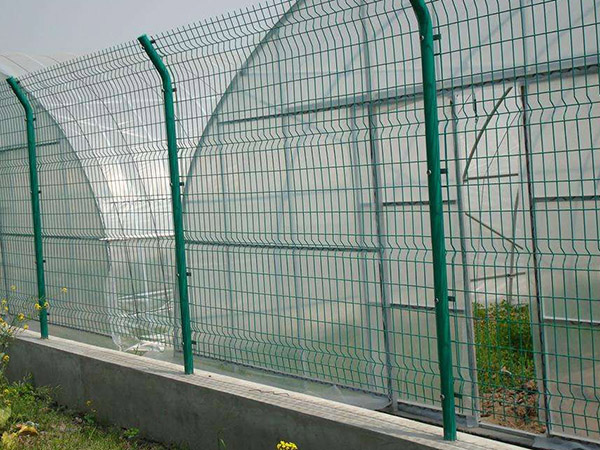 圈地護欄網(wǎng)圖片4